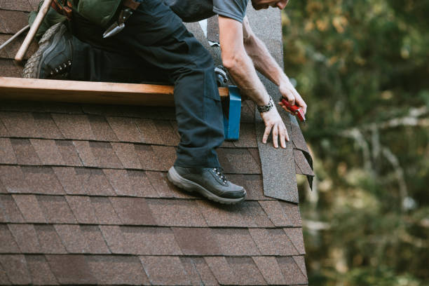 Best Roof Gutter Cleaning  in Halawa, HI